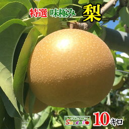 9月中旬〜下旬　特選 <strong>梨</strong> 南水　減農薬 長野県産 10キロ　レビューを書いたら200円クーポン