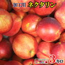 最安値 加工用 ネクタリン 減農薬 長野県産 3キ