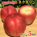 訳あり ネクタリン 桃 減農薬 長野県産 朝獲れ 鮮度抜群 ...