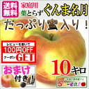 10月下旬 ぐんま名月 りんご 訳あり 減農薬 10キロ...