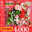 母の日 花束 ギフト 送料無料 カーネーション ハッピー ブーケ プレゼント 用 ギフトボックス でお届け 母の日ギフト アレンジメント アレンジ 花 お花 鉢花 鉢植 鉢植え ランキング サプライズ