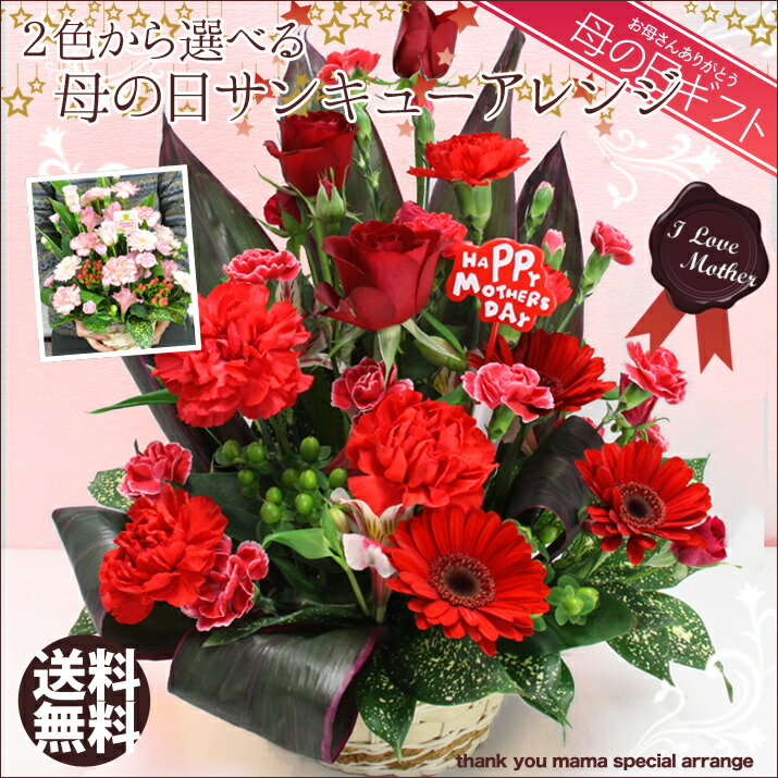 y̓Mtgz2FIׂoƃJ[l[V̓̕TL[AW