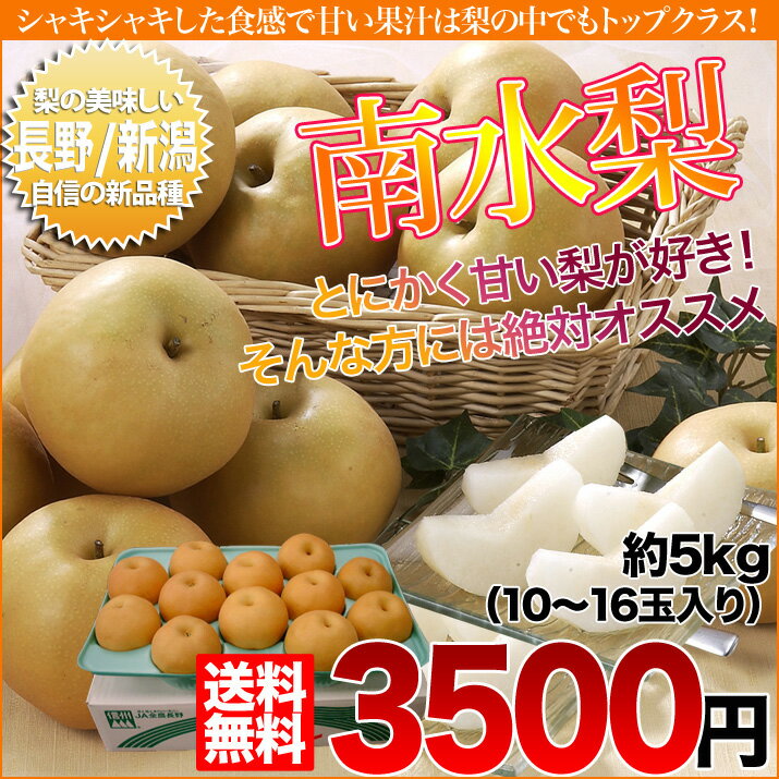 店長激オシ送料無料!! 糖度が高い長野県の自信作 長野・新潟県産 南水梨 5kg(10〜16玉) ランキングお取り寄せ