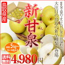 新甘泉 5kg 鳥取県産 梨の新品種 二十世紀梨で