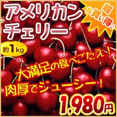 店長激オシ！おもいっきり食べてください！「アメリカンチェリー」たっぷり1kg