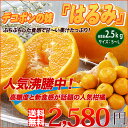店長激オシ送料無料!! ぷちぷちした食感で果汁たっぷり!あのデコポンの妹「はるみ」2.5kg【fsp2124】