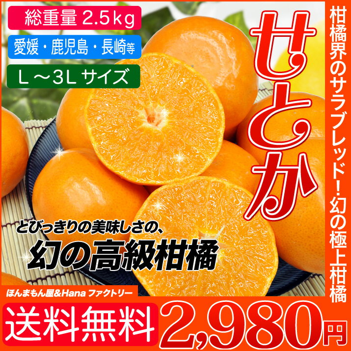 人気のせとかみかん こんな柑橘あったの? 送料無料 幻の高級柑橘(総重量 約2.5kg) 訳ありではありません　愛媛産などを使用します。