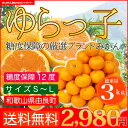 【送料無料】和歌山産 みかん ゆらっこみかん 3kg 糖度セ...