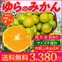 みかん 送料無料 訳あり 7kg 和歌山 ゆら産 箱買いにお...