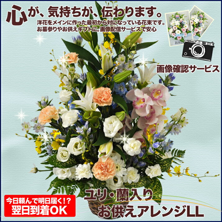 【送料無料フラワー】お供えアレンジLL5000お盆やお彼岸のお花、仏事・命日・月命日・枕花にも【FS_708-7】【H2】