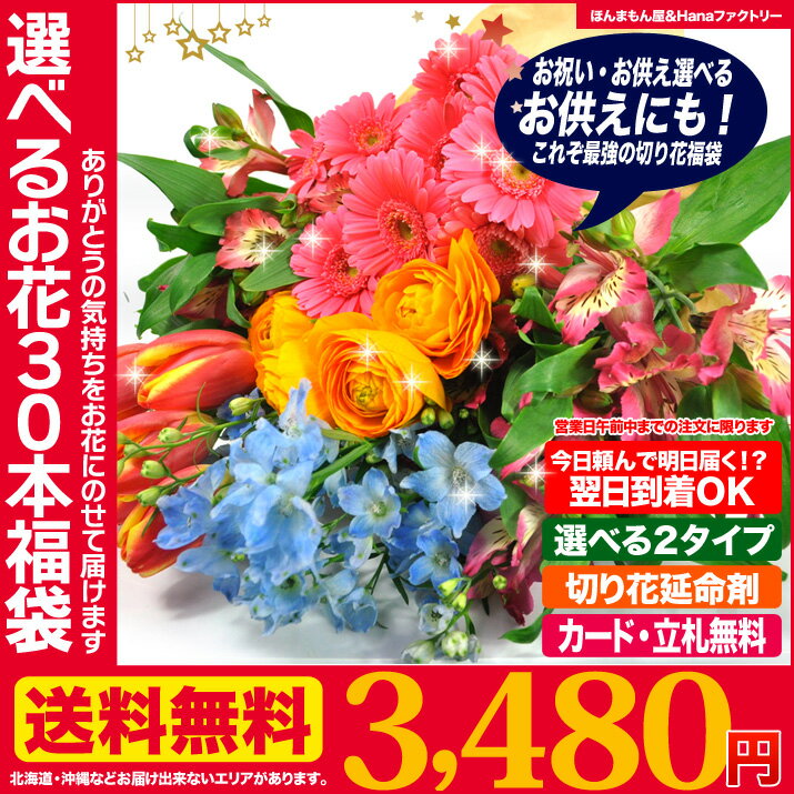 即日発送 切り花 福袋 たっぷり30本 送料無料 午前中の注文で あす楽 OK！ お供え お祝い 用途が選べる！