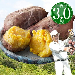 <strong>安納芋</strong> 種子島産 送料無料 訳あり 無選別 3kg 焼き芋 はもちろん<strong>干し芋</strong>にも さつまいも サツマイモ やきいも 鹿児島県【MR】 [向井さんの<strong>安納芋</strong>無選別3kg]