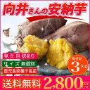 安納芋 種子島産 送料無料 訳あり 無選別 3kg さつまい...