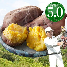 さつまいも <strong>安納芋</strong> 種子島産 送料無料 訳あり 無選別 5kg 焼き芋 はもちろん<strong>干し芋</strong>にも サツマイモ やきいも 鹿児島県【MR】 [向井さんの<strong>安納芋</strong>無選別5kg]