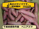 【送料無料】千葉県香取市産サツマイモ『紅あずま』小サイズ訳有品1箱8kg送料無料で届けます。