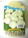 ホワイトにんにく(ホワイト六片・ホワイト6片)約1kg入【青森県産】