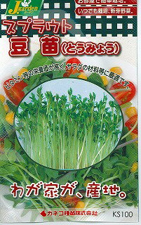 スプラウト豆苗（とうみょう）ビタミン等の栄養価が高く、サラダの材料等に最適です