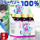 Berryの瞳 50ml×6本入り ブルーベリー ドリンク ...