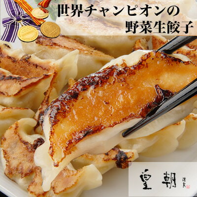 【餃子-20個入】★食物繊維たっぷり★チャンピオンの工夫でいっぱい食べれる　ヘルシー野菜生餃子