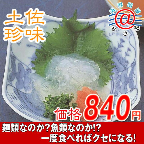 土佐の珍味「のれそれ」100gタレ付