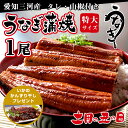 【あす楽対応】愛知三河産 うなぎ蒲焼 特大サイズ1尾 180...