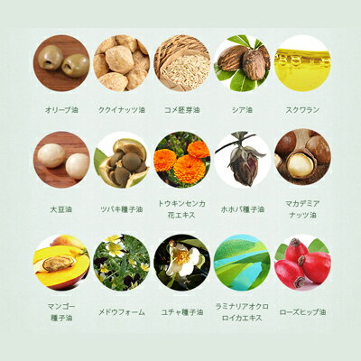 20種類の天然植物保湿オイル配合