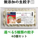 美味しい無添加餃子5種類から選べる冷凍生餃子2パック 40個 オリジナル特製餃子のたれ100ml 1本2,800円 送料込み(一部地域除外)お好きな餃子を2パックお選び下さい