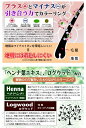 【火曜日限定!楽天ポイント8倍相当】タイヨーモデム ビューティーシャンプー ブラウン 300ml×6本セット(日用品・ヘアケア)【RCP】