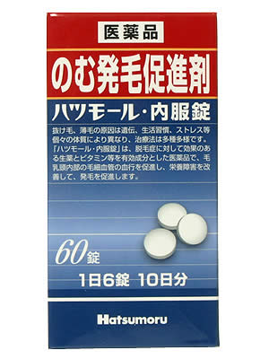 飲む発毛剤ハツモール田村治照堂 ハツモール内服錠 60錠【第2類医薬品】