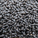 スイートバジルシード 10kg 【メボウキ】【目箒】【バジリコ】【送料無料】【業務用】【常温便】【輸...