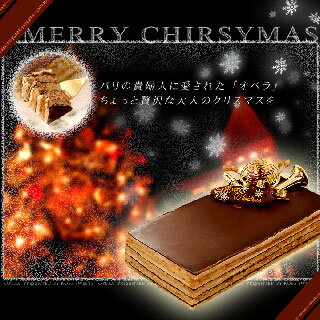 【オペラ】クリスマスケーキ/2013/予約/5人分（チョコレ...