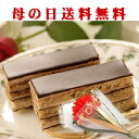 母の日ギフト/早割/ポイント　　倍/送料無料/スイーツ/春ギフト/オペラ/チョコレートケーキ/チョコケーキ/神戸スイーツランキング/^k/人気/お菓子/2013/10P17Apr13/プチカーネーション/メッセージカード付/花/セット母の日ギフト/早割/ポイント　　倍/送料無料/オペラ/チョコレートケーキ/神戸スイーツ/ランキング/^k/10P17Apr13/2013/人気/プチカーネーション/メッセージカード付/花/セット