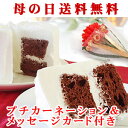 遅れてごめんね!母の日/ギフト/早割/送料無料/ポ