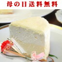 遅れてゴメンね!母の日ギフト/早割/送料無料/ポイント10倍/ドゥーブルフロマージュ(Wチーズケーキ)神戸スイーツ【楽ギフ_メッセ入力】ランキング/^k/人気/お菓子/2013/10P17May13/プチカーネーション/メッセージカード付/花/セット