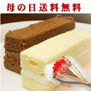 遅れてごめんね!母の日/ギフト/早割/ポイント