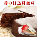遅れてゴメンね!母の日ギフト/早割/ポイント10倍/送料無料/ザッハトルテ/チョコレートケーキ/バースデーケーキ/誕生日ケーキ/【楽ギフ_メッセ入力】神戸スイーツ/ランキング/^k/お返し/人気/お菓子/2013/10P17May13/プチカーネーション/メッセージカード付/花/セット