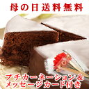 遅れてごめんね!母の日/ギフト/早割/ポイント