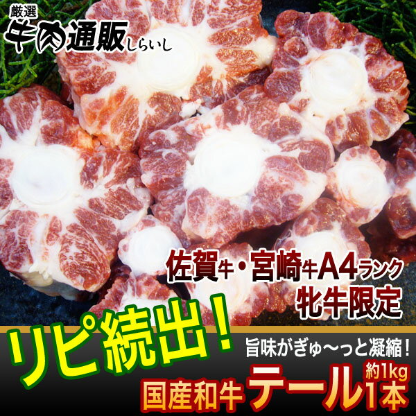 【国産和牛】【佐賀牛・宮崎牛】【送料無料】黒毛和牛テール●1本（約1kg）[2個お買い上げで特典付]コラーゲン豊富　滋養強壮　テールスープ、シチュー、カレー