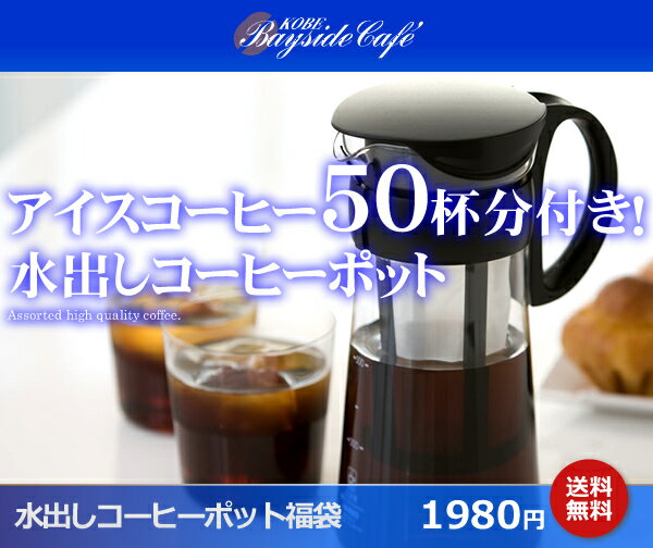 【54％OFF送料無料】水出しコーヒーポット＆アイスコーヒーブレンド500g【MCPN7】【smtb-k】【kb】【マラソン1207P10】【マラソン201207_食品】【RCPmara1207】