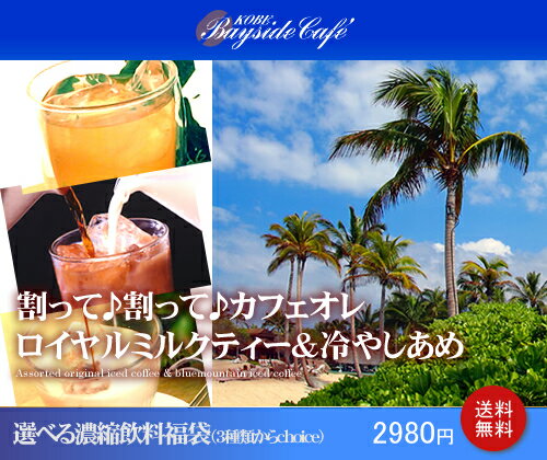 【送料無料】34％OFF！選べる3種類希釈用濃縮飲料福袋【2sp_120810_ blue】】