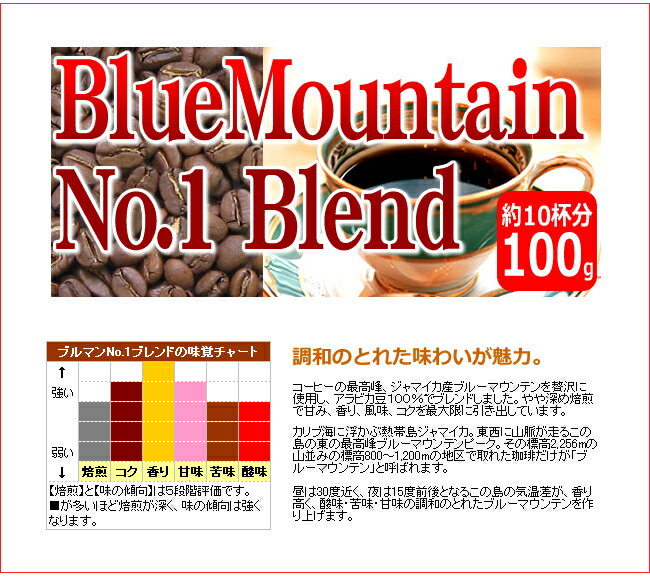 レギュラーコーヒーブルーマウンテンNo.1ブレンド100g【RCPsuper1206】