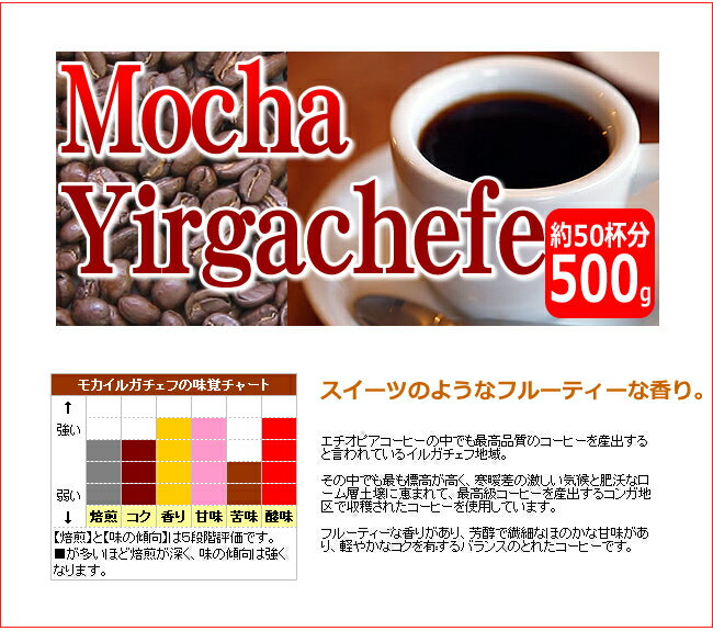 30％OFF！レギュラーコーヒーモカイルガチェフ500g【RCPsuper1206】