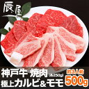 神戸牛 焼肉 セット 極上 カルビ &モモ 500g(冷蔵)【あす楽対応】【ギフト 内祝い お祝い 御礼 プレゼント 牛肉 神戸ビーフ 神戸肉】【贈答 贈り物 焼き肉 国産 黒毛和牛】
