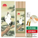 掛け軸 モダン 尺五 慶祝画掛軸 松上双鶴 山村 観峰 三美会 約54.5cm 190cm 洛彩緞子本表装 筋廻仕様 表装品質10年間保証 収納箱 防虫香 風鎮 付き おしゃれ タペストリー 父の日 敬老の日 プレゼント