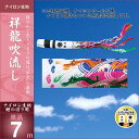こいのぼり 鯉のぼり 庭園用 庭用 キング印 鯉 鯉幟 【2...
