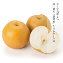 9月下旬頃から発送予定 梨 新高梨 岡山県産 ギフト 8玉 4kg 1玉約500g-569g みずみずしい 香り 甘い 化粧箱