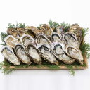 岡山 北木島 喜多嬉かき 殻付き Lサイズ 5kg 約50粒-62粒 1年牡蠣 加熱用 フレッシュ 電子レンジ用 容器付き