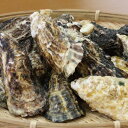 岡山 北木島 ひながき 殻付き Mサイズ 3kg 約37粒-50粒 1年牡蠣 加熱用 1粒約60g-79g フレッシュ 電子レンジ用 容器付き