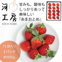 ギフト 晴れの国 岡山 あまおとめ 苺 いちご イチゴ 2パック30個 約800g strawberry 販売中 産地直送 収穫後即発送 送料無料!!一部の地域を除く