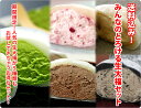 5種類の味が楽しめるお得なセット!【送料込み!みんなのとろける生大福セット】TV・雑誌で紹介のとろける食感を堪能!